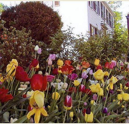 Tuck Inn B&B Rockport Exterior photo