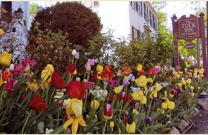 Tuck Inn B&B Rockport Exterior photo